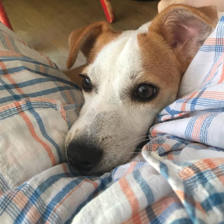 33907200 4d59 49c6 96a1 f21d76bcf203 1565139877039