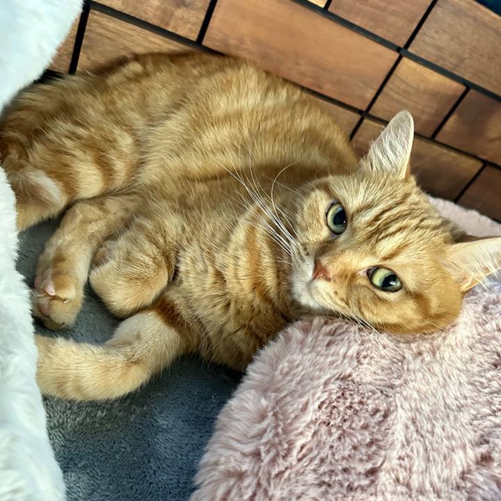 339073ef 09d6 49bb 8879 726922b3b6e8 1719191998176