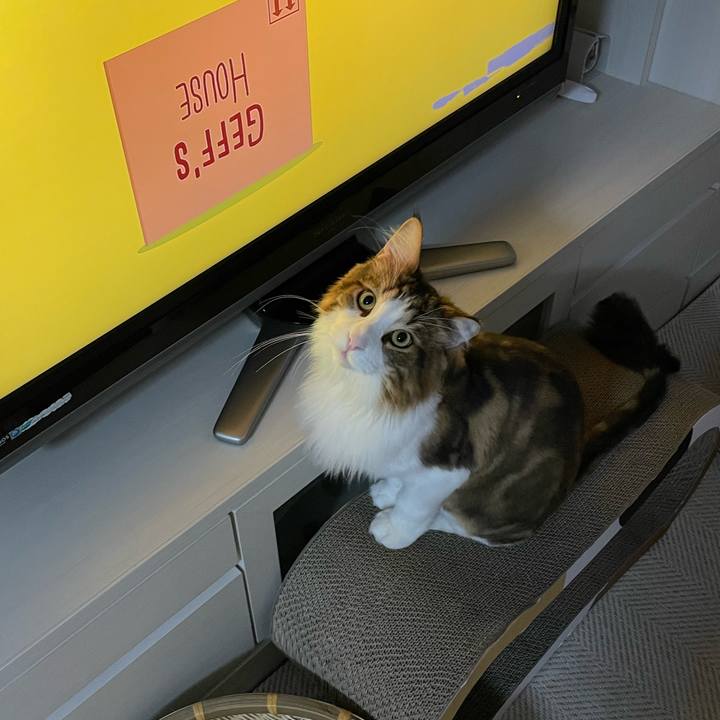 33911742 8806 495d 98ad aa445e427f93 1661284020901