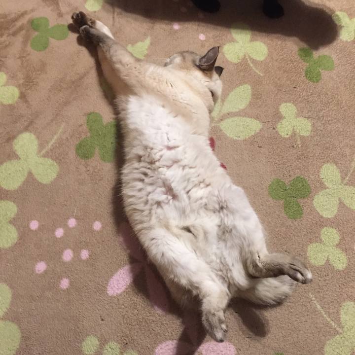 33911cf6 0624 4f41 83ba 8523f7dda581 1575199282322