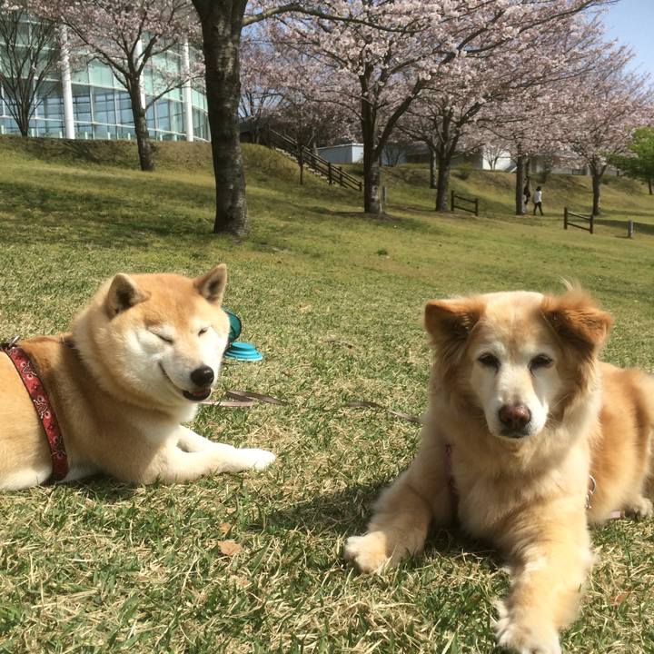 33914748 6ded 4ec3 8b26 359491ca5584 1763963314113