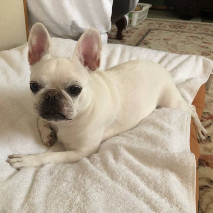 33917701 d1a0 45de bbd6 9656b164abef 1660975742554