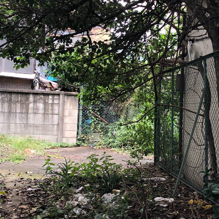 33918bea e513 4f3d bf9f a27743d3aecb 1539322138827