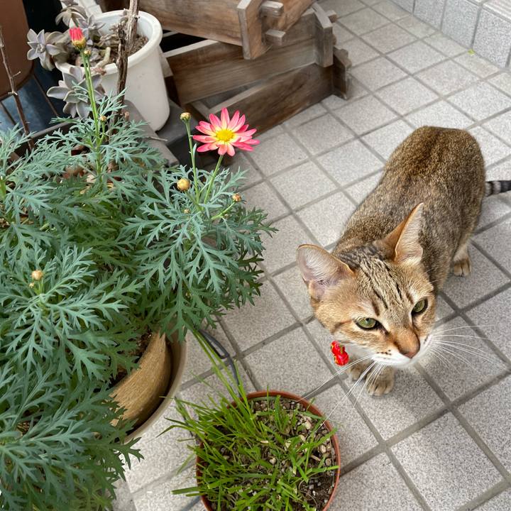 33919196 0518 4601 a547 5ec313438dbc 1679215980609