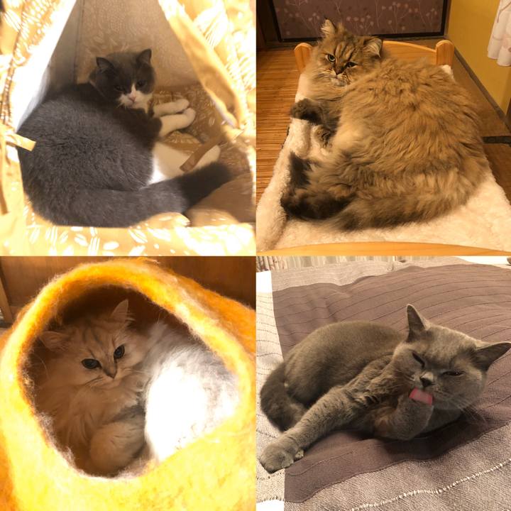 3391a66a 2c3f 44dc a8d8 52ca992ad894 1572012214458