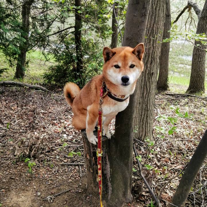 3391acd0 5410 42ee aefc d0bd73efd891 1587117893804