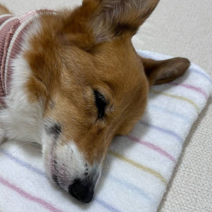 3391b678 a27d 4d70 843c 0d4ff8f91fae 1757760526536