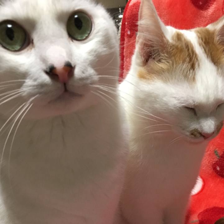 3391bf9f 3f74 4193 acc1 494c96ab35d2 1516184783588