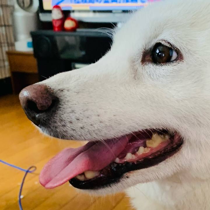 3391d598 9bff 4248 ad86 174f705f9589 1644387353712