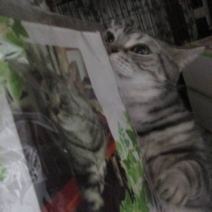 3391dfeb df19 4e9c af1e b5239fe5d87b 1680090559508