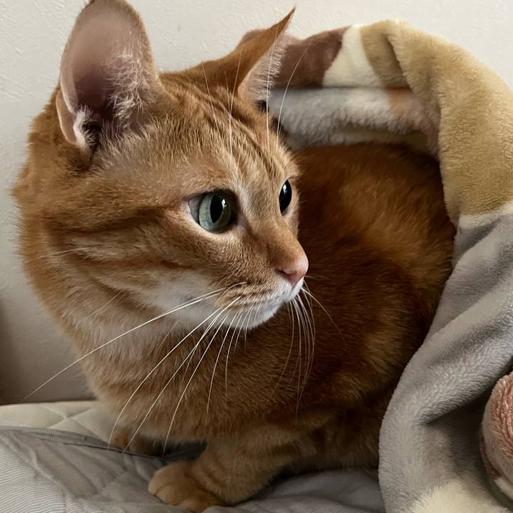 339212e9 eda0 4dea 945e 923891a7615c 1696723247540