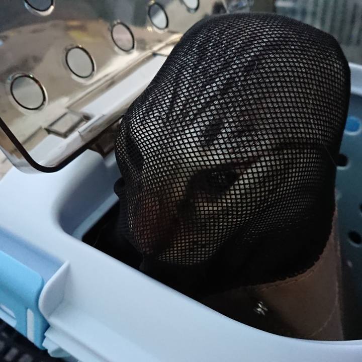 33921a3a 1053 420c b316 acd488694fb2 1537347713835