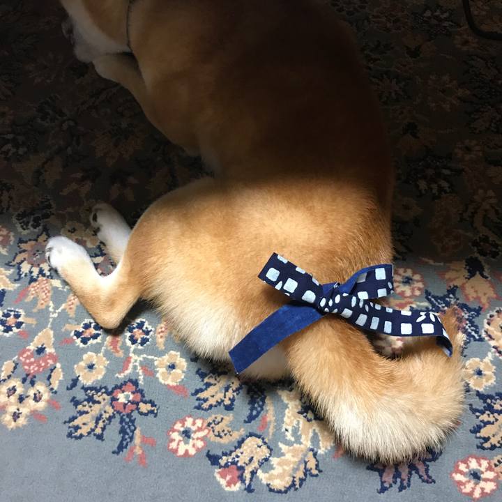 33922848 41b4 42b9 aee9 ccab86a87caf 1532259214917