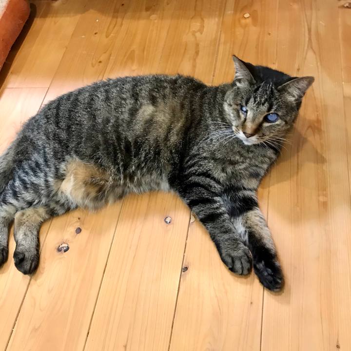 33923c44 c21e 4c45 8941 e2f2d519fa79 1620466658392