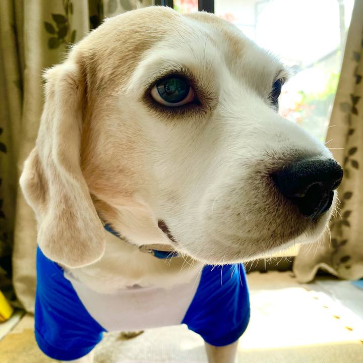 339242bb 0a47 4eb2 bd84 f0a89fa2a617 1617939973690