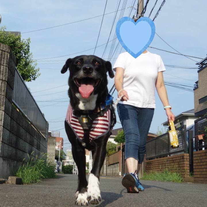 339247ce 0d89 40bf a261 db1c2888746f 1659485014680