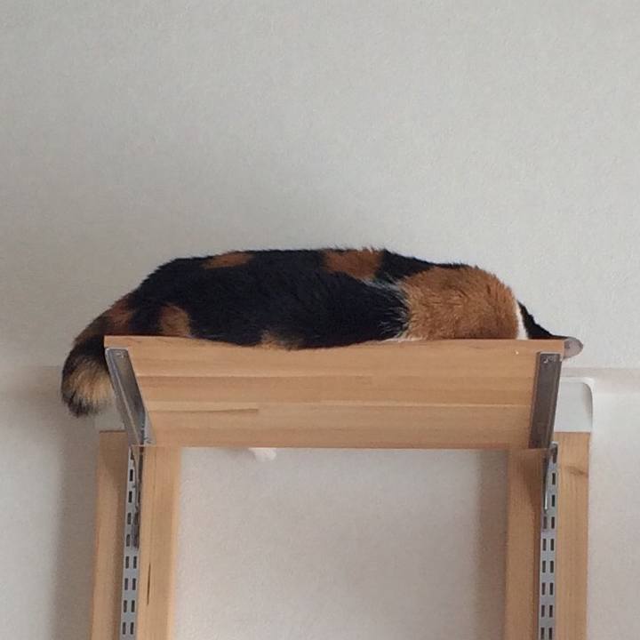 33924f81 72e0 412a b79d f2672a7a22e9 1568890252847