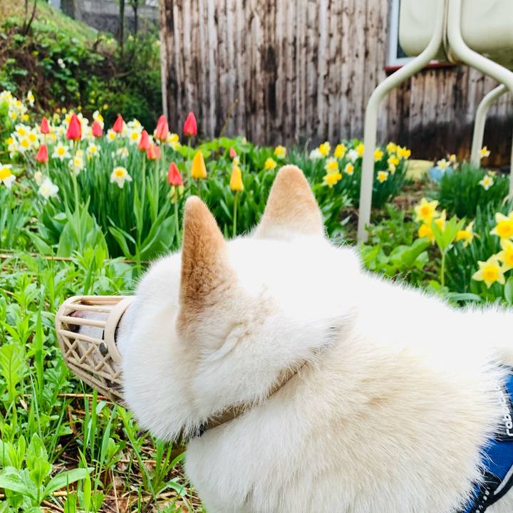 33925661 0744 4536 b8d2 795b6ae89276 1652389768012