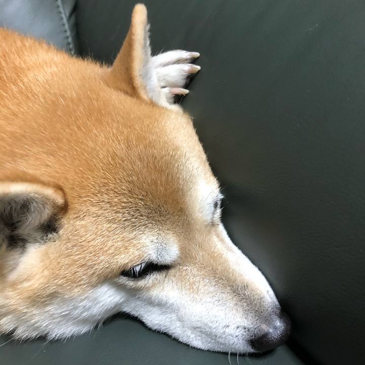 3392df6c a36c 4e15 8ef1 9b233508f311 1576802707078