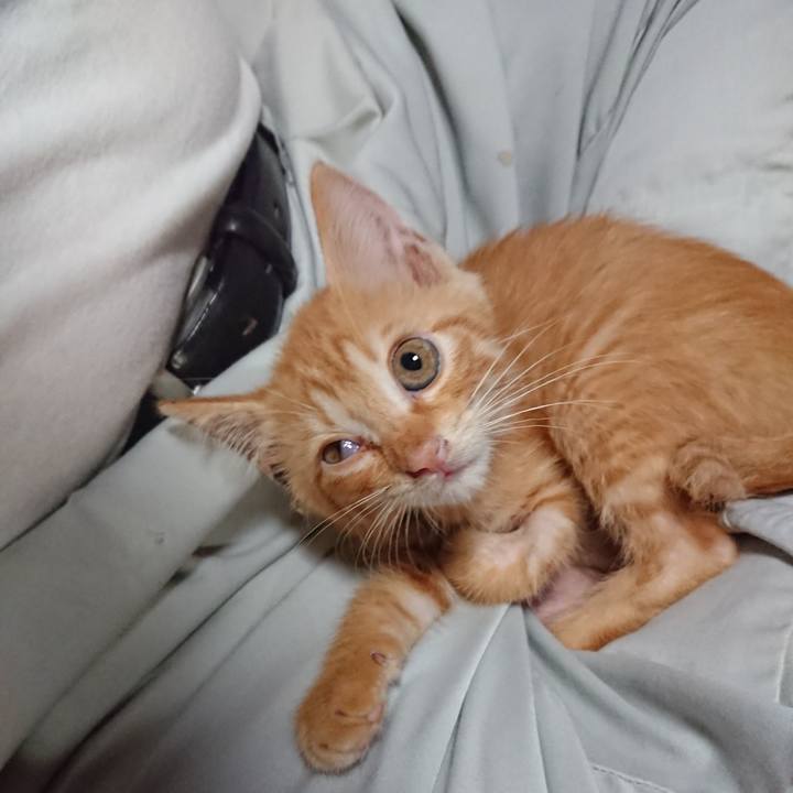 33930fff 6fa2 4f7c 9ae5 0cddc53415e6 1628243723784