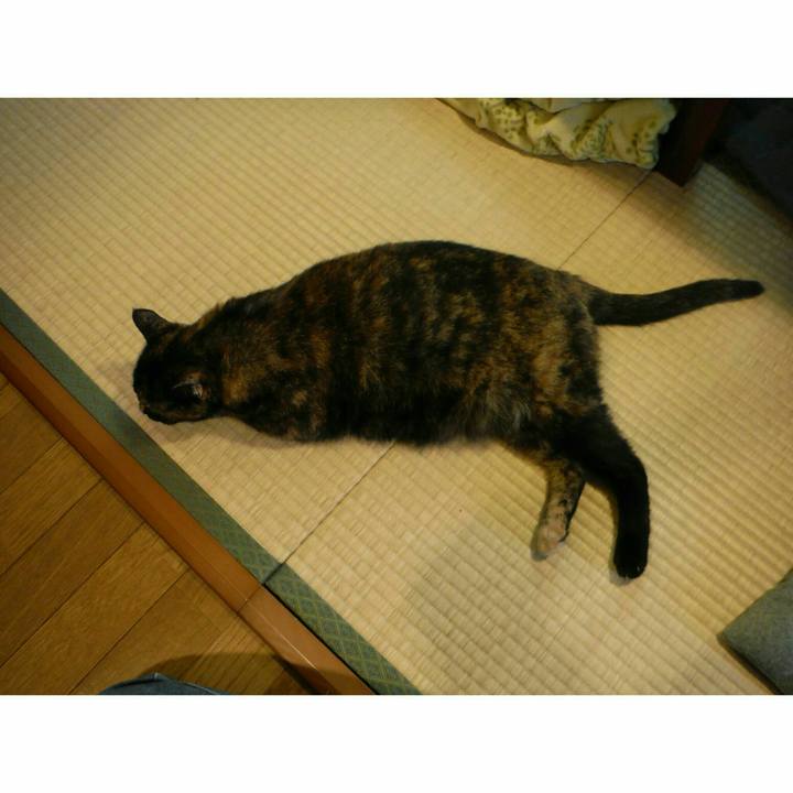 33932339 1482 4641 8f17 df7896e94a9e 1537844121172