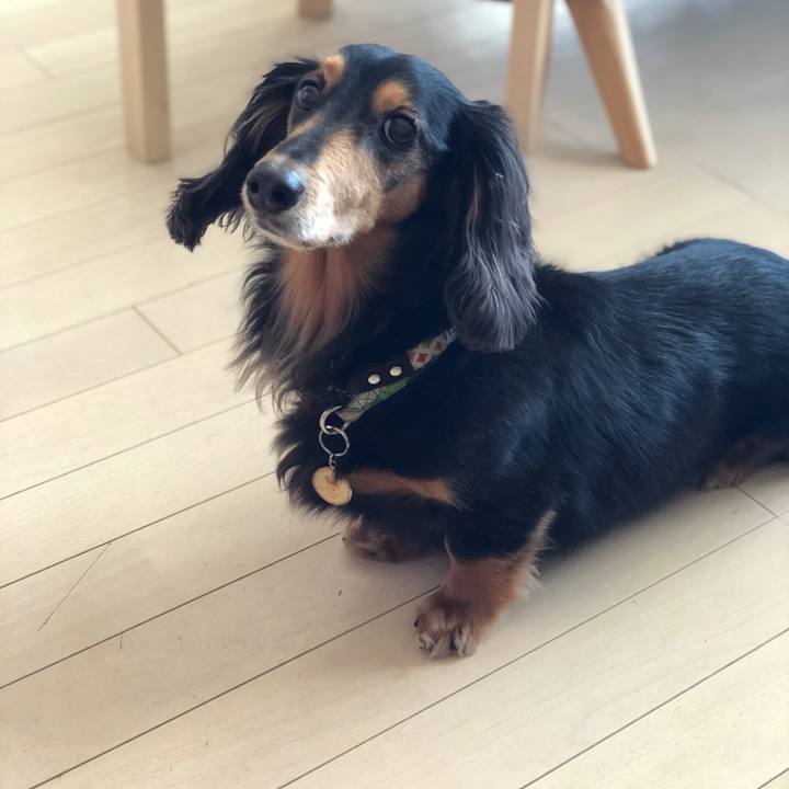 33936627 a2f5 42b9 a08f 678757a79ea0 1557444632969