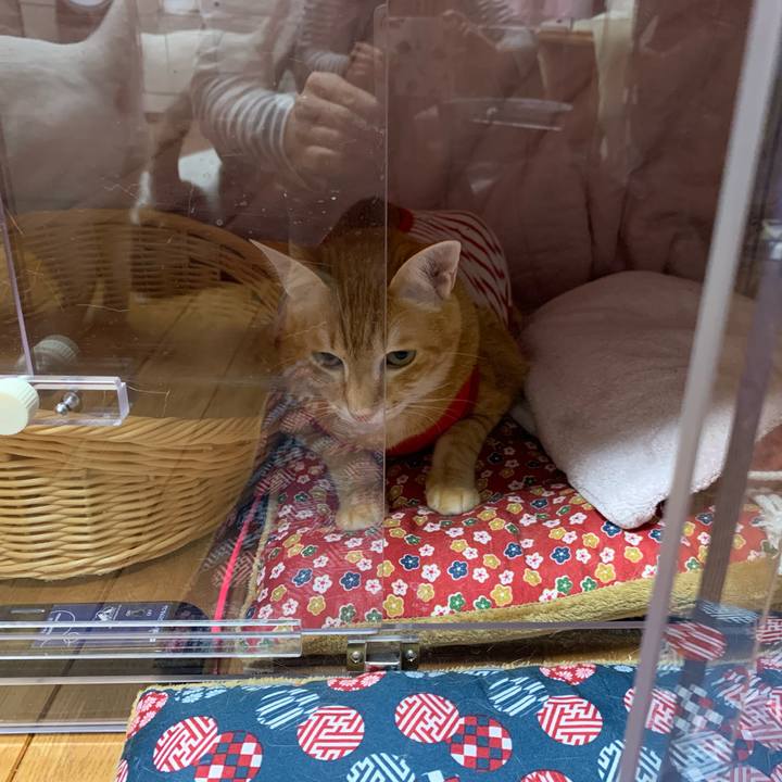 33939620 533b 4ea8 9c87 6edc6bb75032 1579357578121