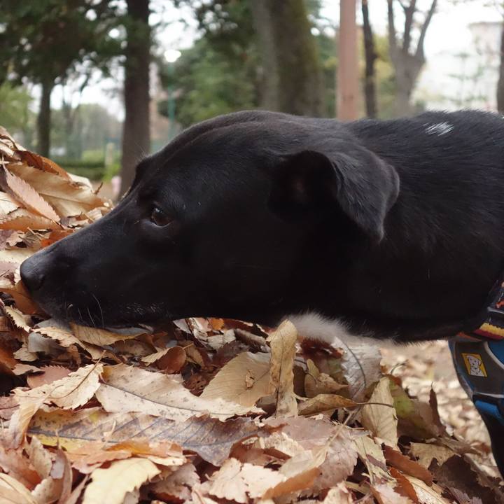 339396da 8c84 4525 a8c6 fba04d0ba0e1 1606955261061