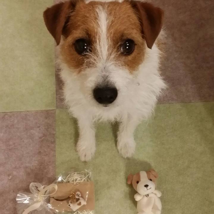 3393cdd0 c645 43e6 9635 712511a529e2 1526120672152