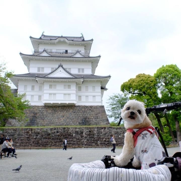 3393dbdb 3e3a 4150 8d89 e0b520963f94 1713929050797