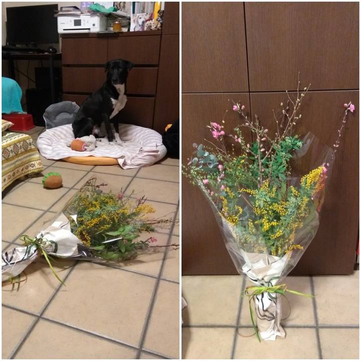 3393df5d c81c 41bf 8d52 71999460ada0 1582207872026