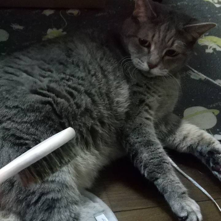 3393e876 6641 4c6f ac4f 12256d97c439 1634865203493