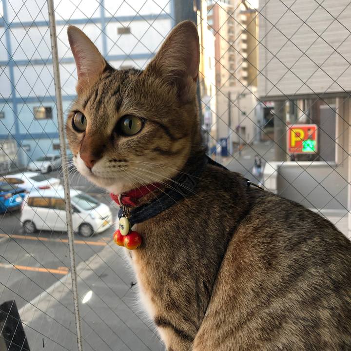 3393ff98 50c5 47b4 9817 6322ff538f9e 1588813306119