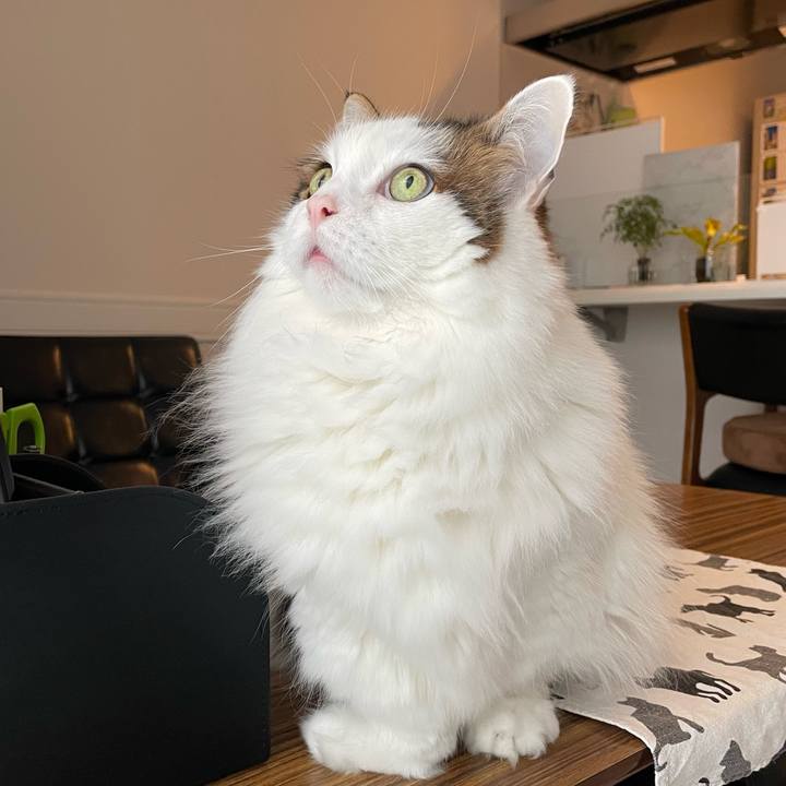 3394128c b032 4114 b2fb 69bfe3d2f03e 1772004802971