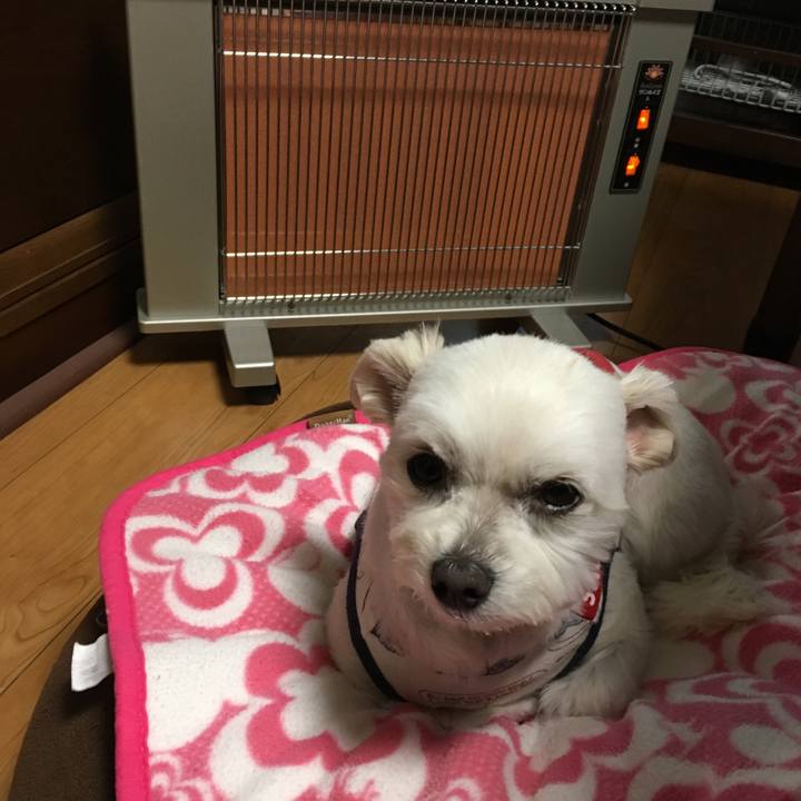 33942d34 1760 4af5 b8c0 85dc2892d655 1546740614350