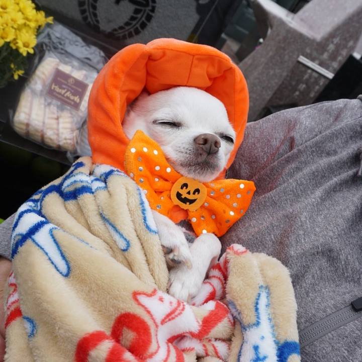 33947658 67ad 4530 8997 b6944bf365a2 1539395652663