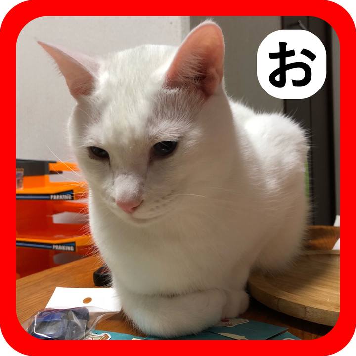 33949b12 eee3 4fc1 baa0 92675a7f8a8e 1514909328064