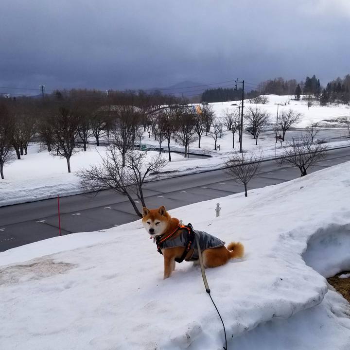 33949b89 bd4e 4efc b303 6415afeecbca 1614997223894