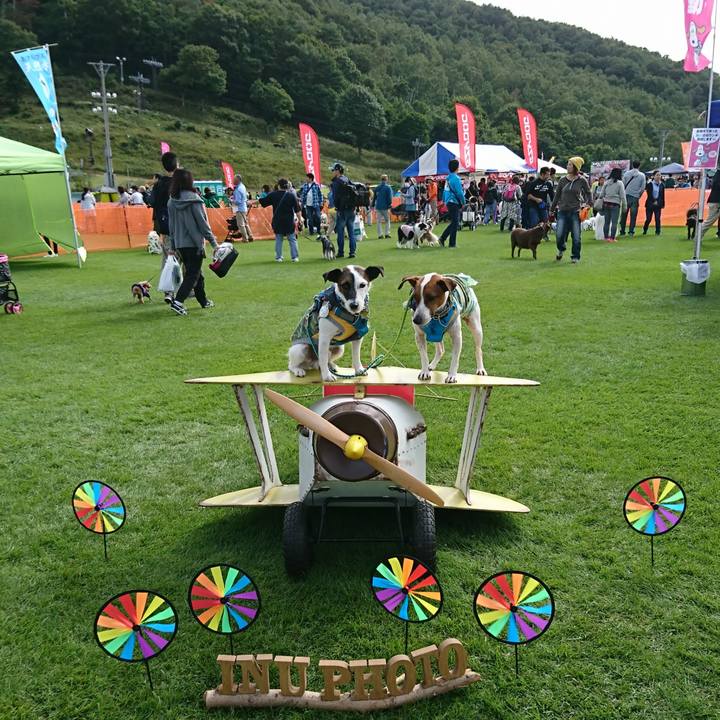 3394f7e4 c3c8 4c8f bd30 06474290f77c 1569117022099