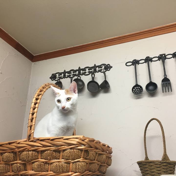 3395252a 3c00 46e7 a8ff 19b7fa42479b 1509449693573