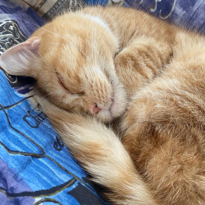 33953c94 2e71 4473 8ccb e56b2f1cc7e6 1645157384148