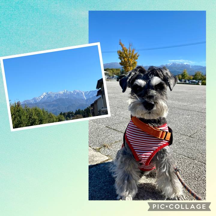 33956922 0707 44fd bc28 4b5d0ea7bf81 1731128523864