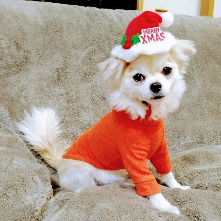 3395837e 74b5 4fd6 a615 043893c094d2 1670758757880