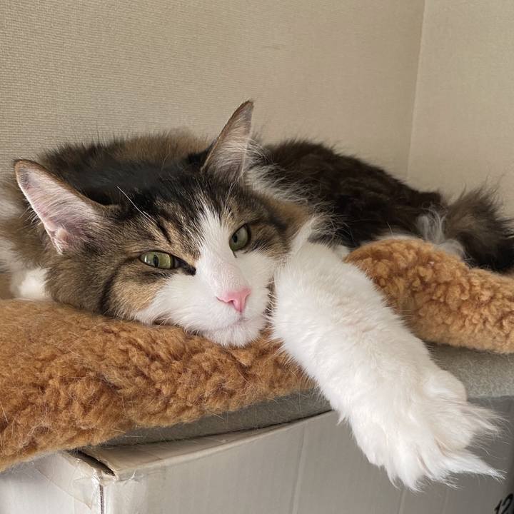 3395eeb7 fcac 4e0c b989 c3c6987ce9c4 1734662575346