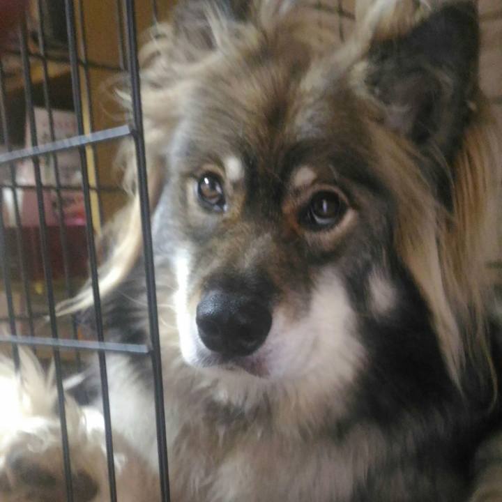 33962ccc 48a2 4bd9 a2c7 8101f3f27e8b 1535008996055