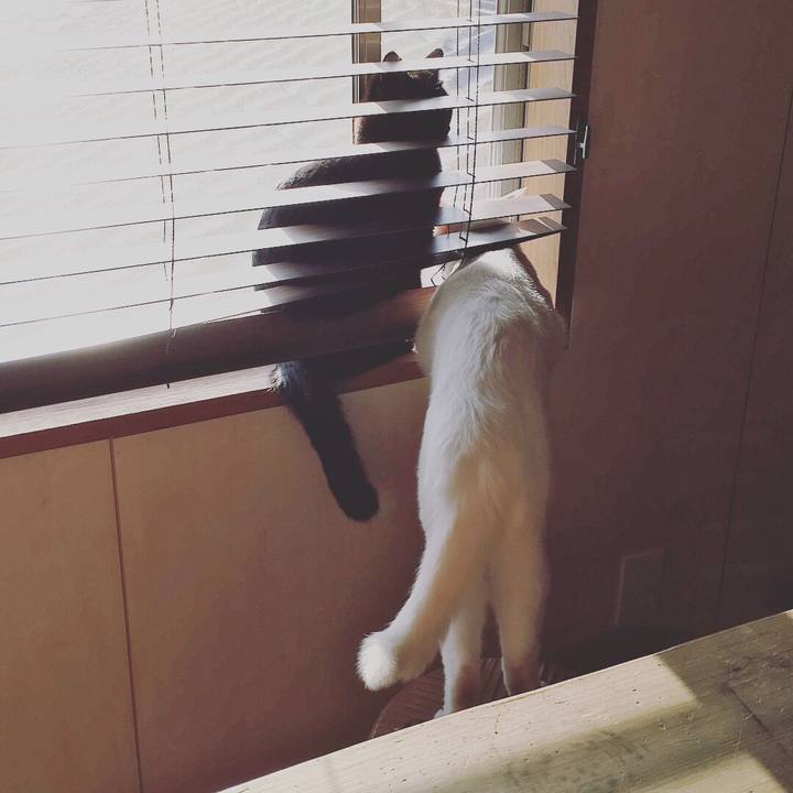 33965b19 9650 4514 b17d 8ad3a3ec760e 1522708516615