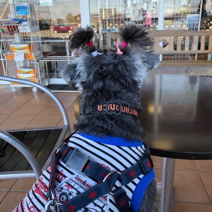 3396667e 8518 4eff 891e 8c2f4301b26d 1636193624331