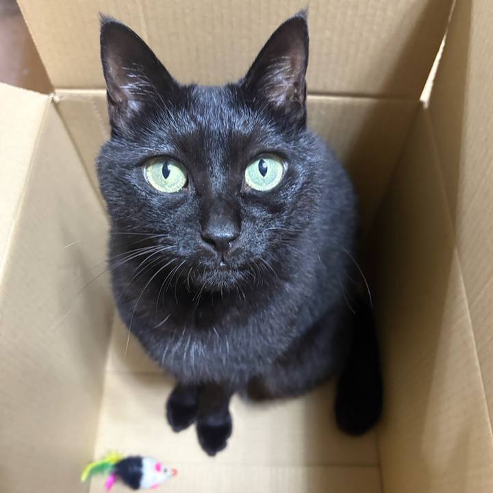 339670eb d031 45af b585 094ddc16969a 1758535284598