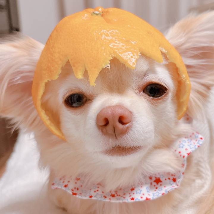 3396a9f2 f315 4a8c ace5 95245d3c2e89 1674867840441