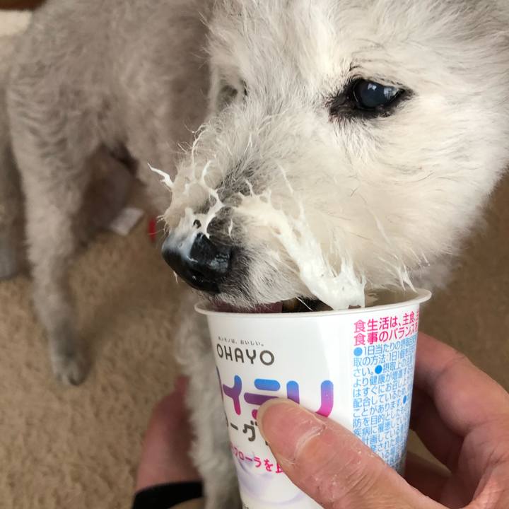 3396c6c3 6443 48b2 b393 3d99d0e456bc 1590213556755